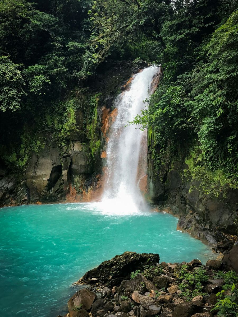 A waterfall dropping into a turquoise pool in the Costa Rican rainforest