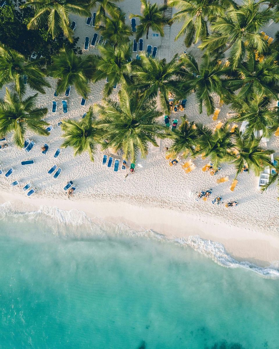 An aerial view of a white-sand beach with palm trees and lounge chairs