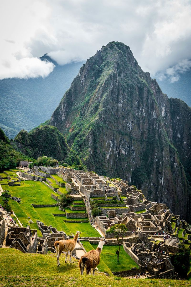 Machu Picchu’s ruins and mountain with two llamas in the foreground, Peru